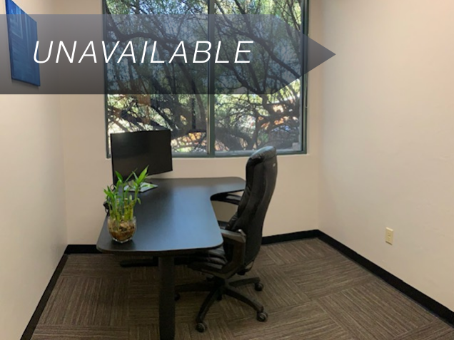 Private Junior Suite 118 office featuring a sit-stand desk, curved monitor, and large window overlooking greenery.