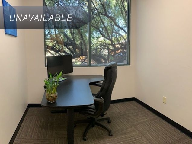 Private Junior Suite 118 office featuring a sit-stand desk, curved monitor, and a large window overlooking lush greenery.