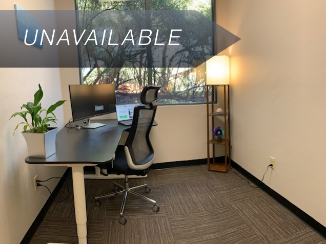 Private Junior Suite 120 at Spoke Coworking featuring a sit-stand desk, curved monitor, and large window with nature views.