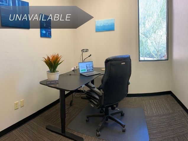 Private executive office Suite 113 featuring an electric sit-stand desk, ergonomic chair, and natural light from a window.