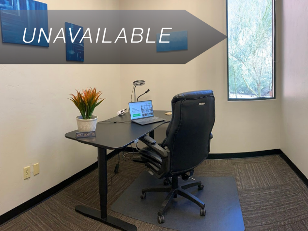 Private executive office Suite 113 with an electric sit-stand desk, ergonomic chair, and natural light from a window.