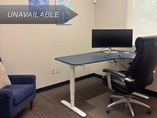 Private executive office Suite 117 featuring an electric sit-stand desk, curved monitor, and guest seating.
