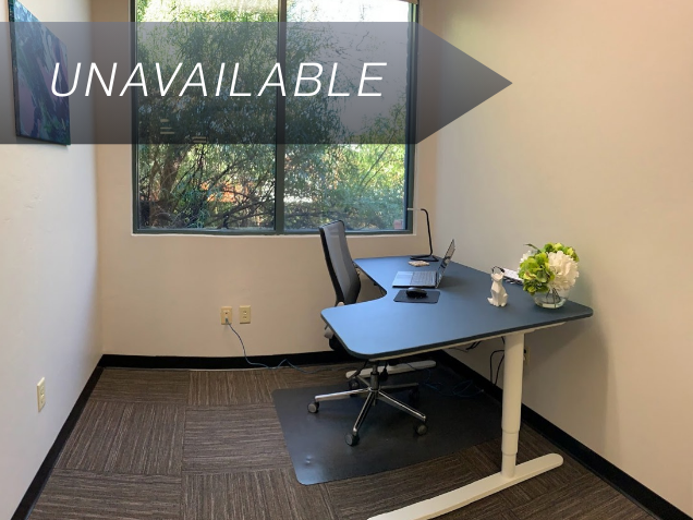 Private office Suite 121 with a large window, electric sit-stand desk, and ergonomic chair.